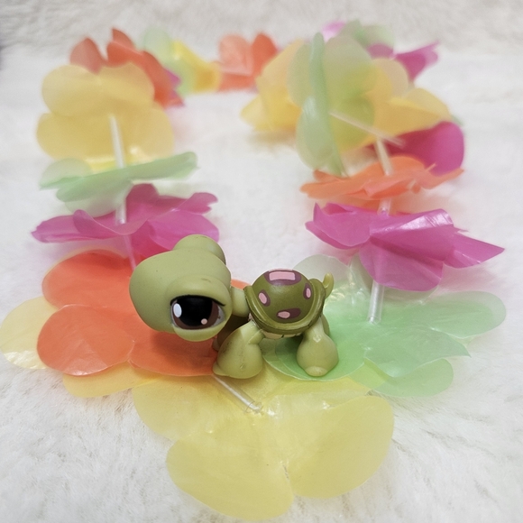 My Littlest Pet Shop Turtle loose figure LPS - Picture 1 of 6